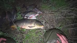 Рыбалка ОГОНЬ!! Крупняк прёт САЗАН КАРАСЬ ГУСТЕРА ЛЕЩ на поплавок и донку