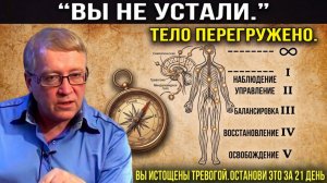Ученые в ШОКЕ. ЕГО МЕТОД РАБОТАЕТ НА 1000 % Петр Гаряев  как перестать тревожится о силе разума
