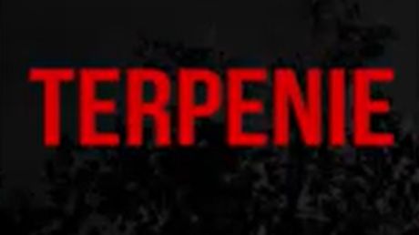 Прохождение игры TERPENIE