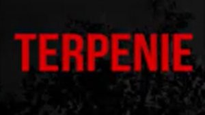 Прохождение игры TERPENIE