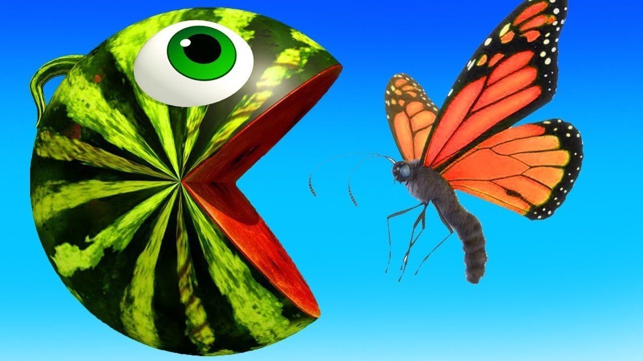 Учим диких животных для детей - Игрушки с животными для детей - Приключения с пакман