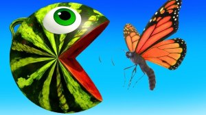 Учим диких животных для детей - Игрушки с животными для детей - Приключения с пакман