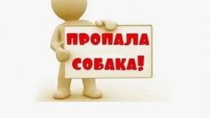 Вот такие каникулы💥 Потеряли собачек💥 Дождались весну💥