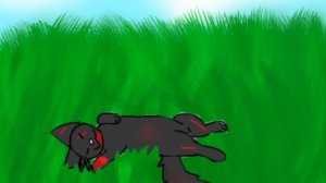 Ну милой же спит? 😝🥰