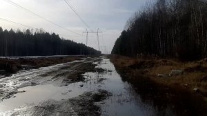 проверили просохла ли дорога/встреча с гадюкой/посеяла цветы