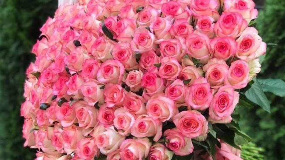 Медитация Исцеления