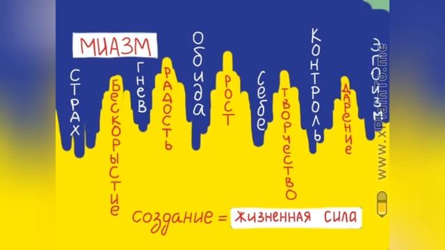 Гомеопатическая концепция болезни: что такое Жизненная Сила и Миазмы