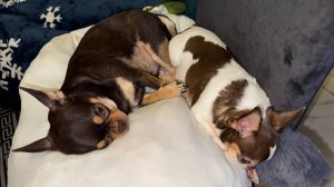 Всем самой доброй ночи и волшебных снов.