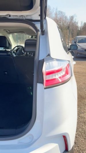 IMG_4282 Форд Эйдж 2