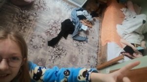 VID_20260329_124713.mp4