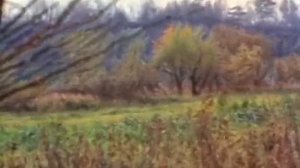 ДМБ Видишь суслика жмых эффект | Phaser