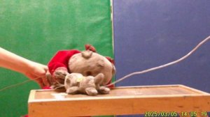 У Басика брат