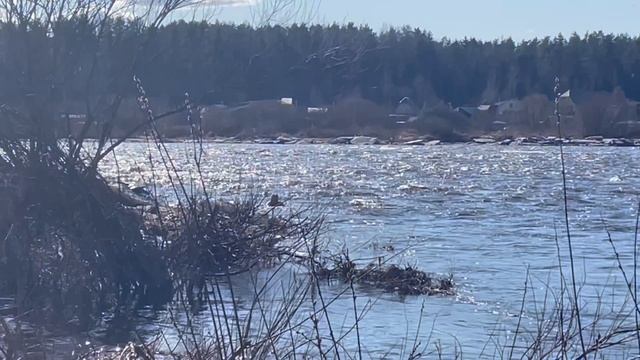 Лето в марте