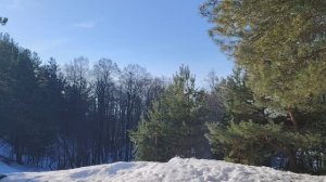 Квест "Устраиваемся на работу"