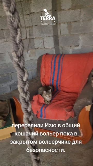 Изю переселили в общий вольер