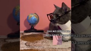 kotiynet эдит
