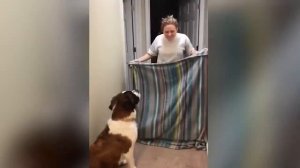 ЗАСМЕЯЛСЯ   ПОДПИСАЛСЯ! ЛУЧШИЕ ПРИКОЛЫ 2026 ТЕСТ НА ПСИХИКУ УГАР!