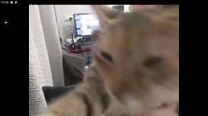 моя комната часть 2