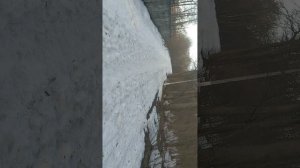 Врачи не знали.. 77 суток  борьбы за Жизнь