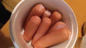 Фауна . Экспериментальные наблюдения