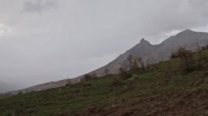 279ч.Под дождем в горах мать-кочевница сражается за свою семью