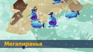 Говорили, что Кракен - это миф, до сегодняшнего дня.