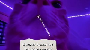 Фанат меня допрашивает🙄