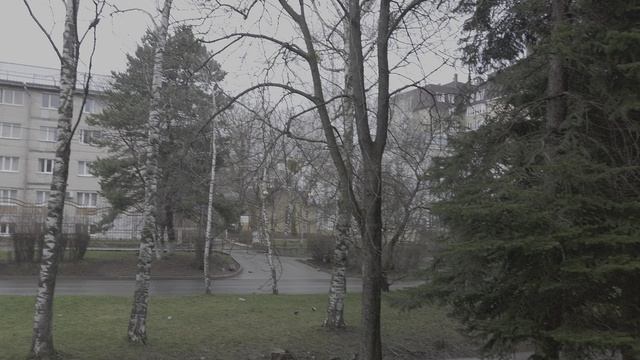 Ставропольская весна по мартовски (29.03.2026) смотреть онлайн