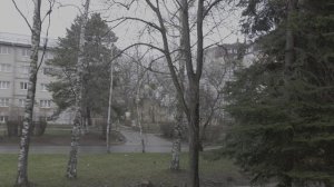 Ставропольская весна по мартовски (29.03.2026)