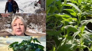 Съездили на дачу 28.03.26г.