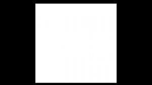 инцидент не довольный сотрудник (видео для конкурса)