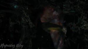 ЛЫСАЯ ДЕВОЧКА СО СВЕРХСПОСОБНОСТЯМИ И МОНСТРЫ ИЗ ДРУГОГО ИЗМЕРЕНИЯ - КРАТКИЙ ПЕРЕСКАЗ СЕРИАЛА