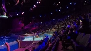 Море снов в Москвариуме