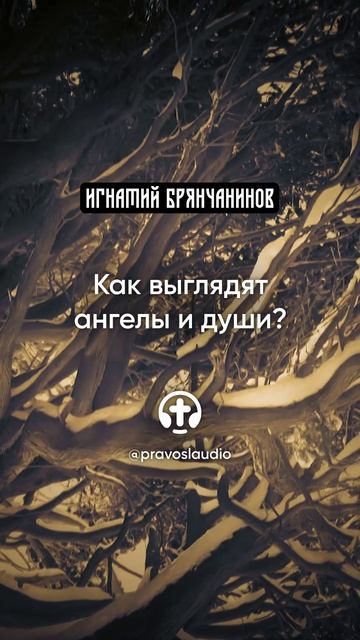 10 Как выглядят ангелы и души