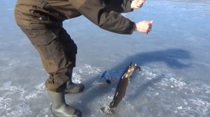 Рыбалка на таежном озере/ Щука, плотва, окунь.