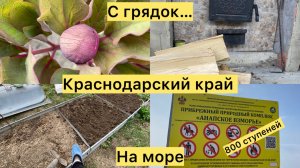 Купили дом. Виноград «плачет». Чищу цветник. Едем в Супсех.