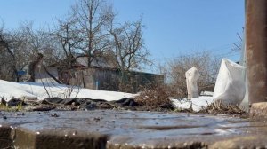 снег тает на даче