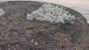 Гуляю. Дошла до Озон.