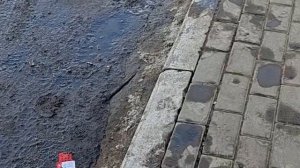 Вот и весна .!