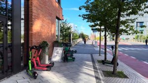 Осло Норвегия 2026 Летняя прогулка по столице ☀️