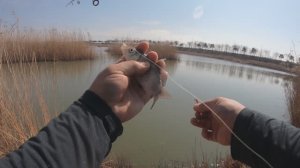 карась на мормышинг