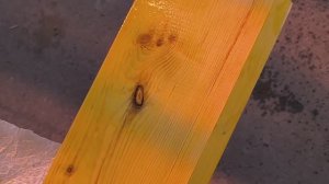 Фисташка ли это?