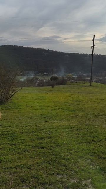 Лошадка в Малиновке