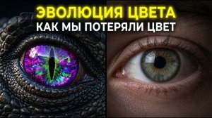 ЭВОЛЮЦИЯ ЦВЕТА - Почему динозавры видели больше цветов?