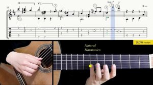 LE FESTIN Ratatouille на Гитаре. Уроки гитары. Ноты и табы для Гитары Sky Guitar