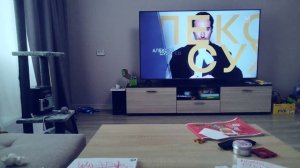 Йокими 3 серия муз тв