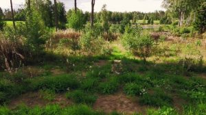 Сосновские_Озера_Forest_Lounge