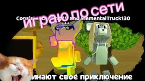 играю по сети с Жёлтым Феником