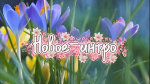 🫧Новое-интро 😄