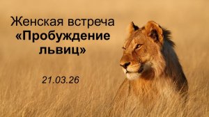 Женская конференция «Пробуждение львиц» || 21.03.2026